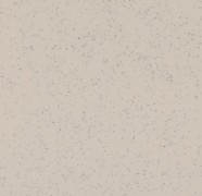 40402 oyster